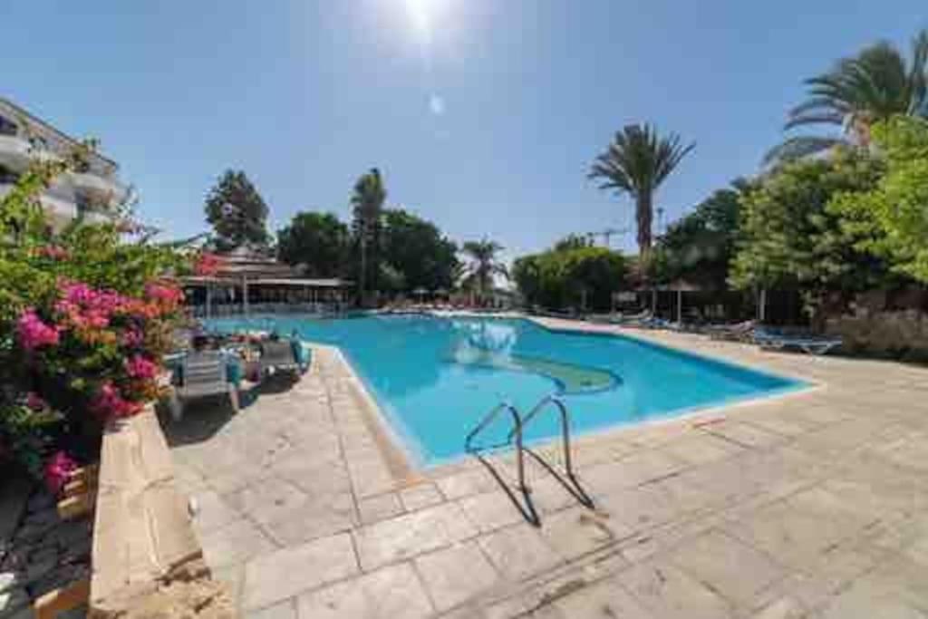 Paphos Dream Studio270M From The Beach מראה חיצוני תמונה
