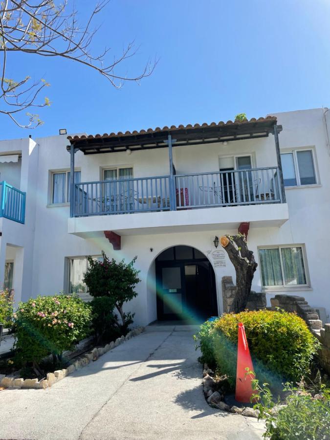 Paphos Dream Studio270M From The Beach מראה חיצוני תמונה