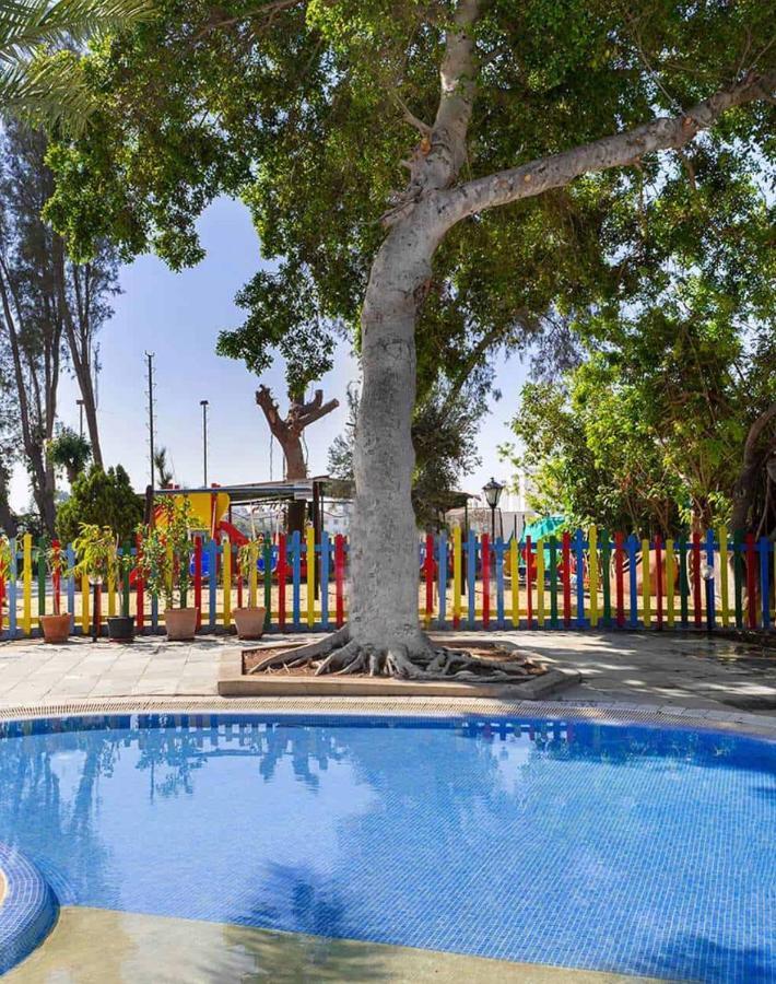 Paphos Dream Studio270M From The Beach מראה חיצוני תמונה